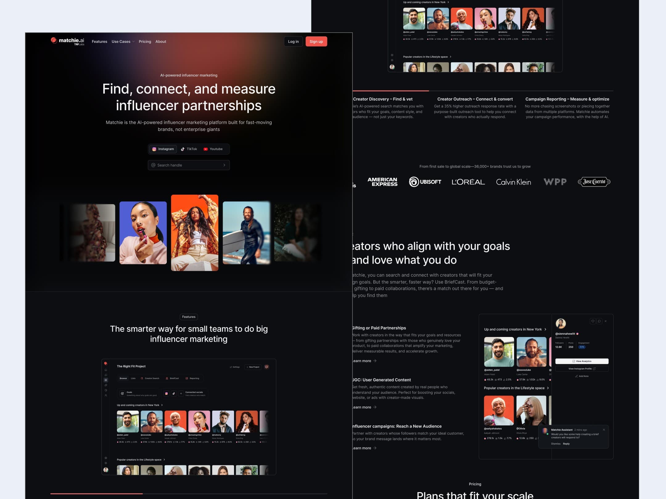Brand evolution detail